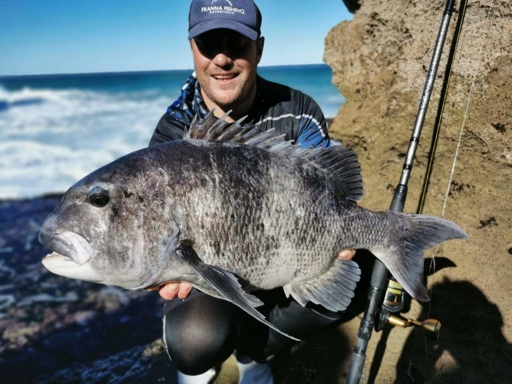 Berkley Venom Diamond Back - Stil Fishing