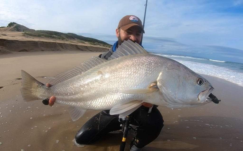 Kob Spinning - Stil Fishing