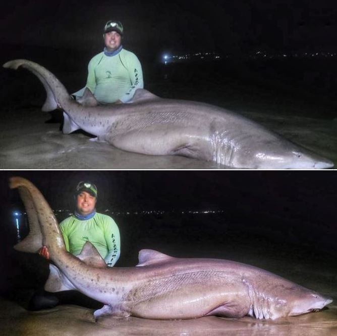 PB! - Stil Fishing